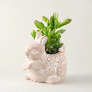 🆕 Handmade Terracotta Squirrel Planter Whitewashed Indoor Outdoor Plant